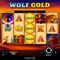 Casiny - Wolf Gold Slot Game - Pragmatic Play Pokie
