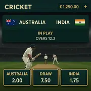 Casiny - Cricket Betting - Live In-Play Betting